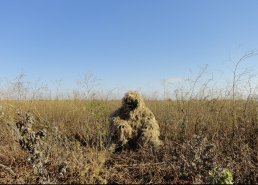 Маскировочные костюмы для охоты в интернет-магазине в Саранске, купить маскировочную сеть с доставкой картинка 4