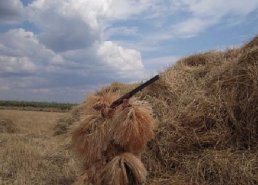 Маскировочная одежда для охоты в интернет-магазине в Саранске, купить маскировочную сеть с доставкой картинка 28