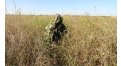 Маскировочный халат Taganrog Кикимора – купить по цене 3550 руб. в интернет-магазине в городе Саранск картинка 13